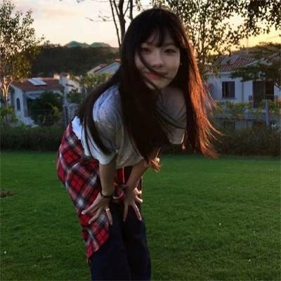 庇护棕榈树下